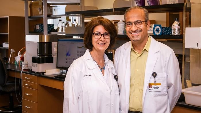 Molecule Triggers Immune System Defense Mechanism in Lung Cancer