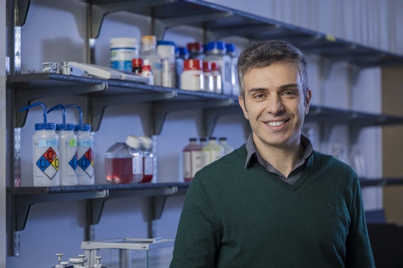Researchers Discover Promising New Brain Cancer Target