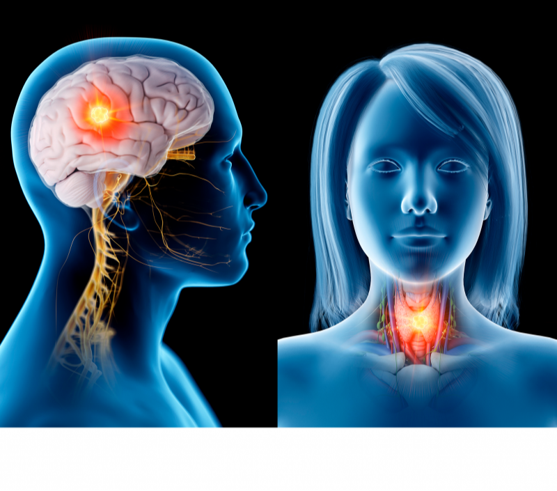Adding Nivolumab to Cisplatin-Radiotherapy Improves Disease-Free Survival in Head and Neck Cancer