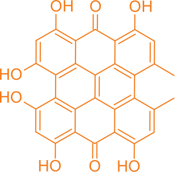 Photodynamic Therapy Shows Promise in Treating Cutaneous T-Cell Lymphoma
