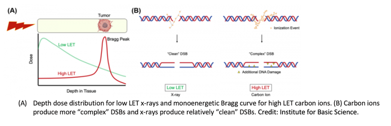 Scientists Discover DNA Repair Mechanism That Cancer Cells Use to Recover From Ionizing Radiation