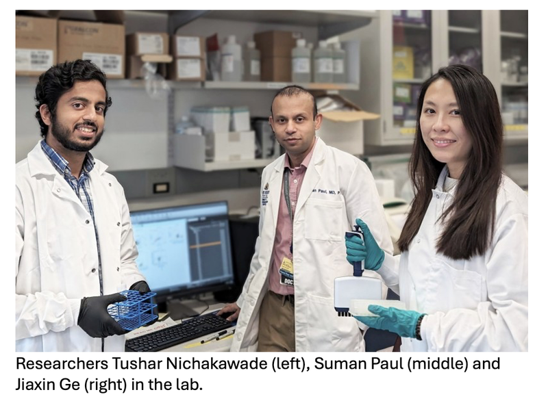 Novel Treatment Developed for T-Cell Leukemias and Lymphomas