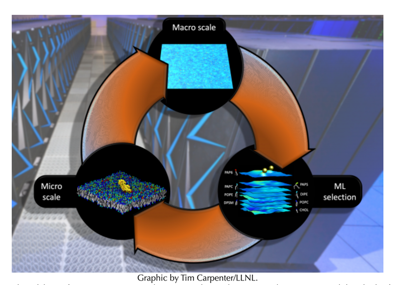 Scientists Develop Machine-learning-backed Model of Protein Behavior Linked to Cancer-causing Mutations