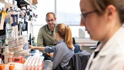 Lego-Like Gene Editing Method Helps Researchers Improve Immunotherapy