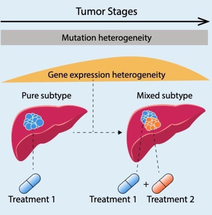 Study Calls for Novel Strategies to Target Dynamic Genomic Landscape in HCC