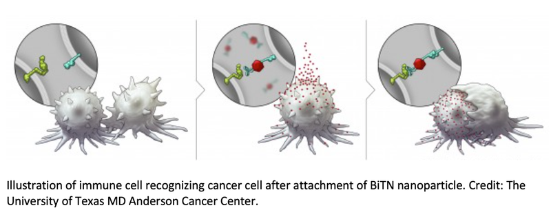 Nanotechnology Platform Makes Cancer Cells More Receptive to Immunotherapy