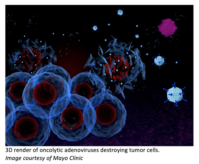Immunotherapy Technique from Mayo Clinic Uses Oncolytic Viruses