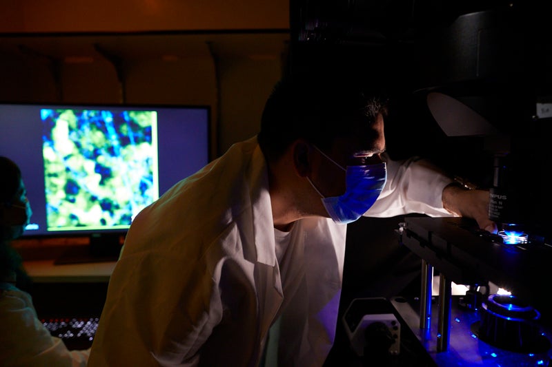 Cells from Tumors Stay Dormant for Years Before Metastasizing
