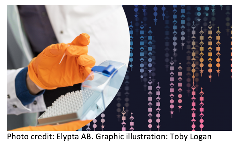 New Method Detects Several Types of Newly Formed Cancer at the Same Time