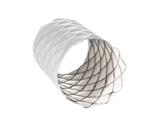 Study Says Longer Covered Stent for Congenital Heart Disease Interventions Provides Benefits