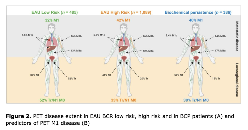 PSMA PET Validates EAU Prostate Cancer Risk Classification System