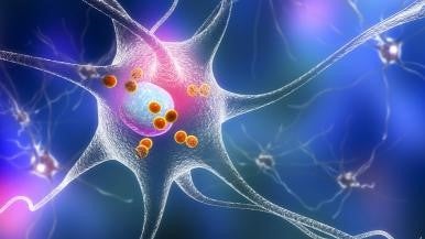 Death Rate From Parkinson’s Disease Rising in the US