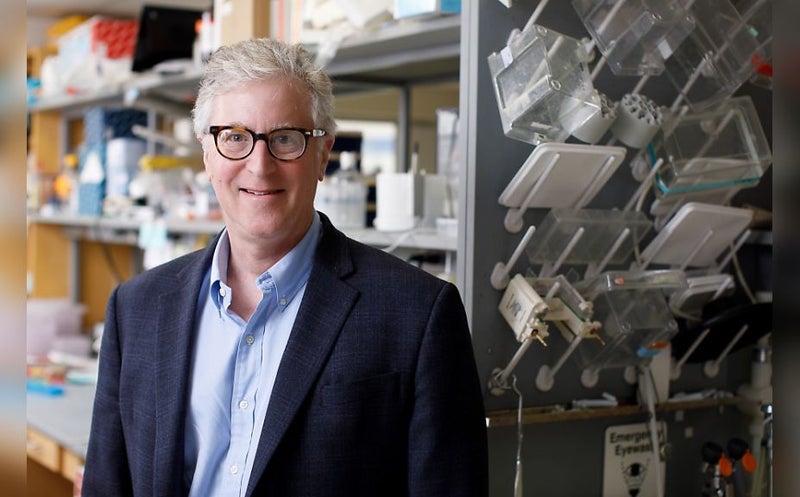 Lupus Antibody That Penetrates and Kills Cancer Cells Headed to Clinical Trials