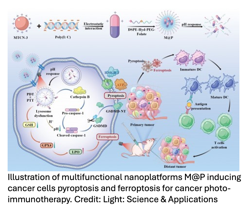 Self-Assembling Nanoplatform Designed for Cancer Photoimmunotherapy