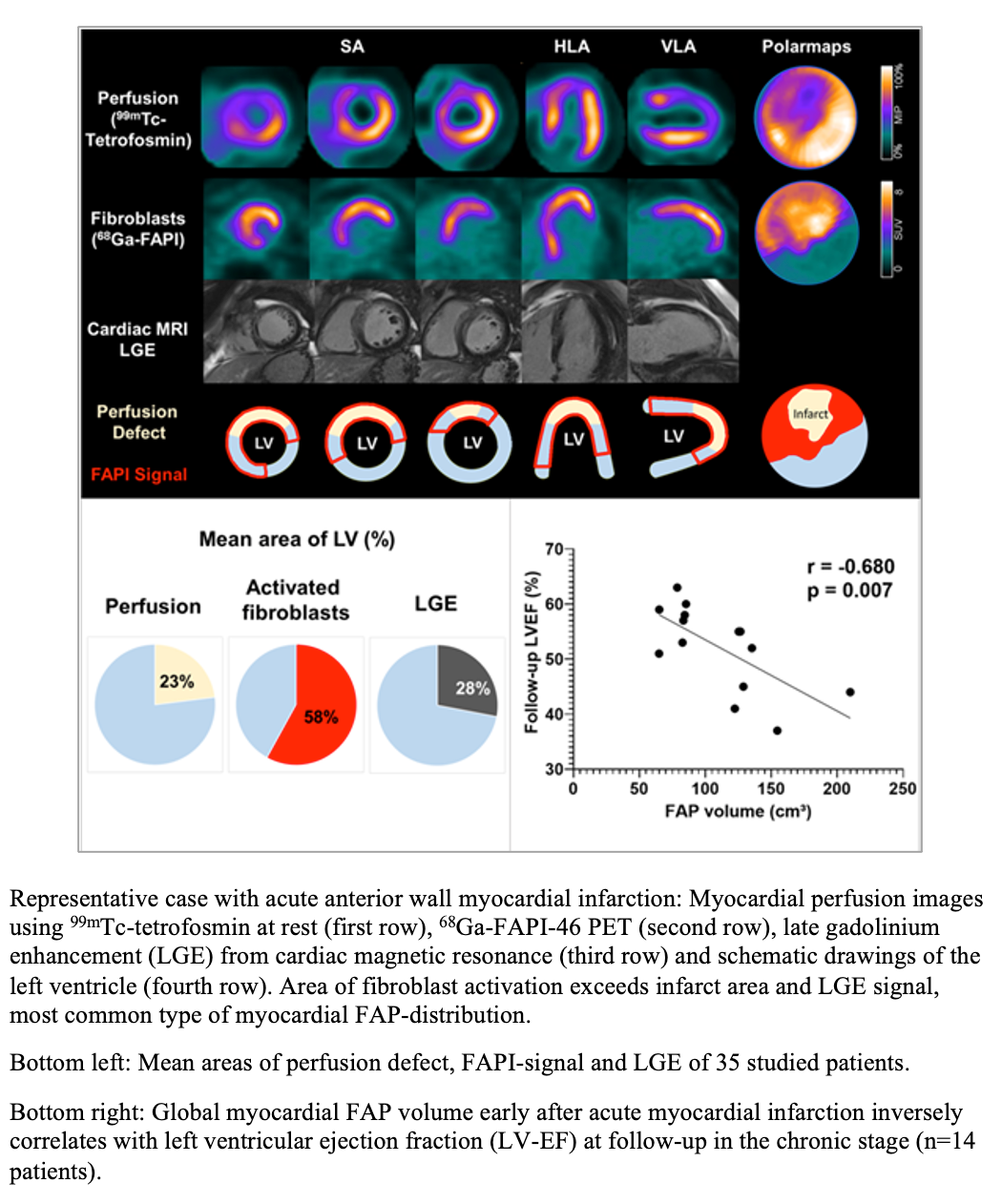 PET Biomarker That Predicts Severity of Cardiac Remodeling After Heart Attack Selected as SNMMI Image of the Year