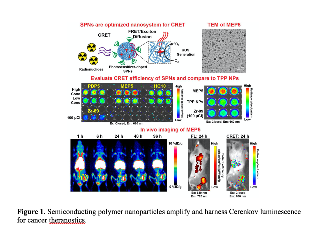 SNMMI ’21: New Theranostics Approach Kills Cancer Cells Using Radiopharmaceuticals and Nanoparticles