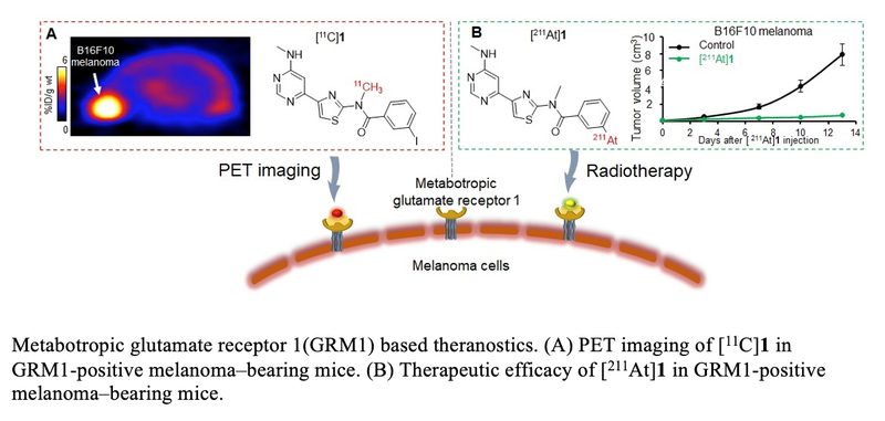 New Radiopharmaceutical Pair Detects, Treats Melanoma