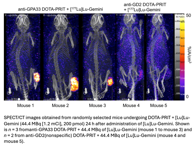 Novel Theranostics Approach Cures Colorectal Cancer in Preclinical Study