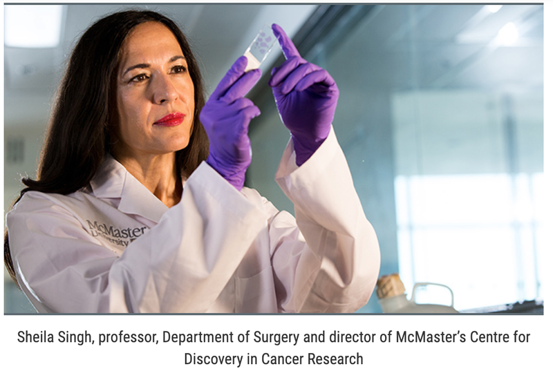 Glioblastoma Cells Mutate During Dormant State to Evade Treatments