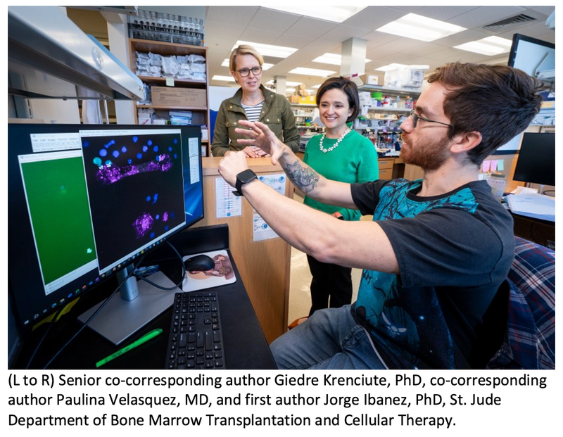 St Jude Researchers Validate Target for CAR-T Cell Therapy in Brain and Solid Tumors
