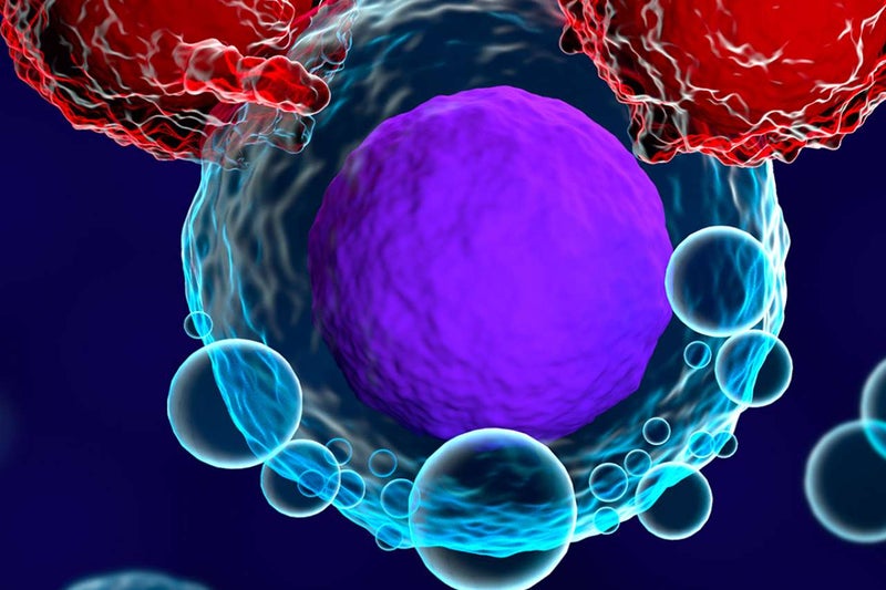 UCLA Scientists Develop New Method to Engineer Immune Cells