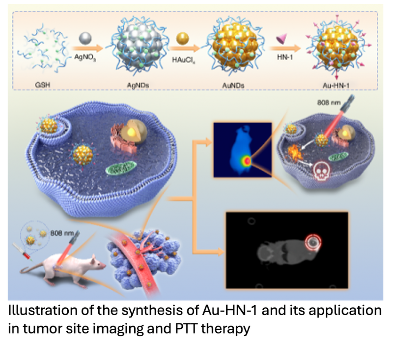 Targeted Nanotherapy Shows Promise Treating Tongue Squamous Cell Cancer