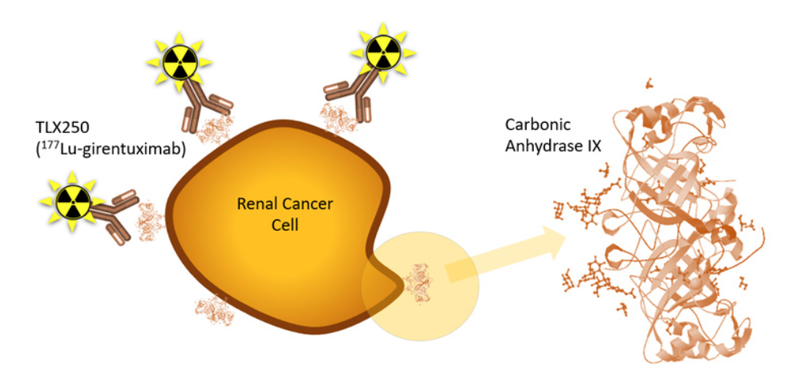 First Patient Dosed in Combined Targeted Radiation Therapy and DNA Inhibitor Clinical Trial