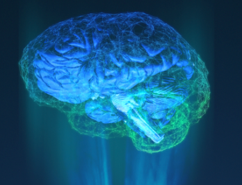 TeraRecon Releases AI-Driven Neuro Clinical Suite