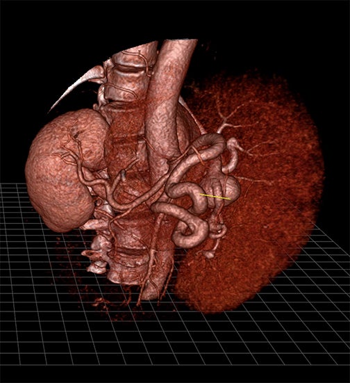 Virtual reality at SIR 2018