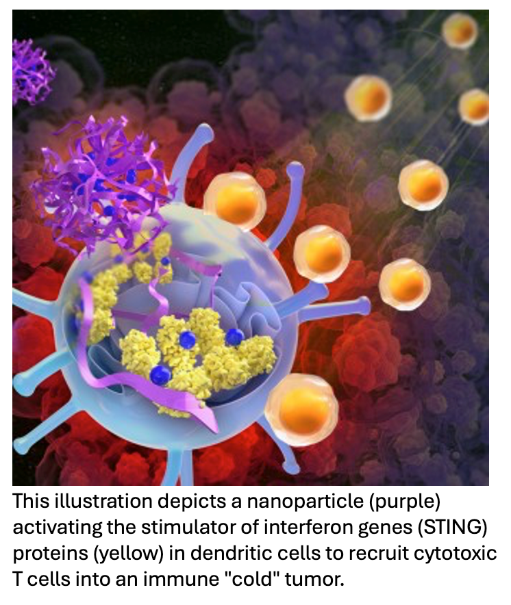 Nanoparticles Stimulate Immune Pathway to Fight Tumors
