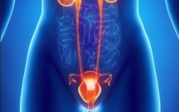 Immunotherapy After Surgery Keeps Bladder Cancer Patients in Remission Longer