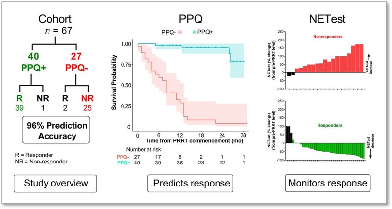 Blood-Based Biomarkers Predict Neuroendocrine Tumor Response to Theranostics