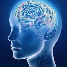 Telix’s Brain Cancer Imaging Agent Faces Approval Setback