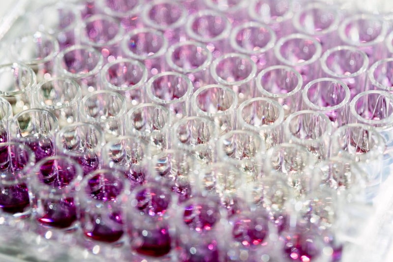 NIH Releases Proteogenomic Dataset for Cancer Research
