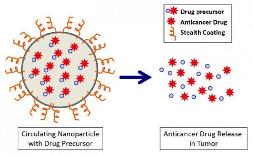 Nanoparticles May Exploit Tumor Weaknesses to Selectively Attack Cancers