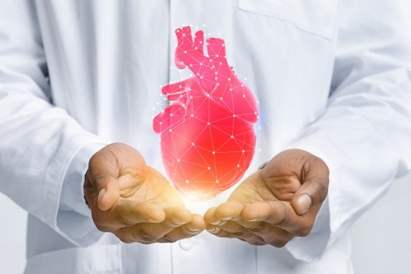 AI Better Than Sonographers in Assessing Heart Function