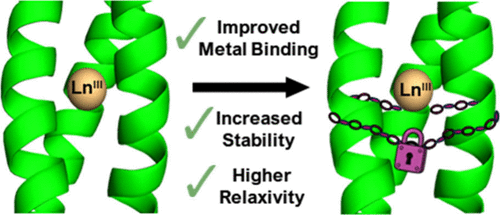 University of Birmingham Scientists Develop Next-Generation MRI Contrast Agents with Enhanced Stability and Performance