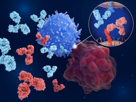 Immunotherapy Shows Promise in Penile Cancer Patients