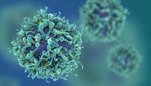 Large Scale Atlas of How Immune Cells React to Mutations During Immunotherapy Developed by Cleveland Clinic