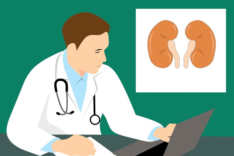 FDG-PET Can Diagnose Immune Checkpoint Inhibitor-Associated Acute Kidney Injury