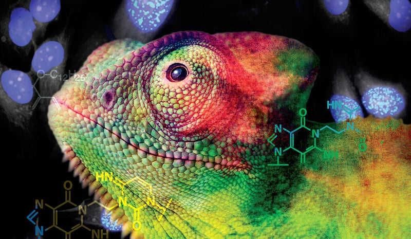 Yale-Developed Compound Offers New Path for Treating Brain Cancer