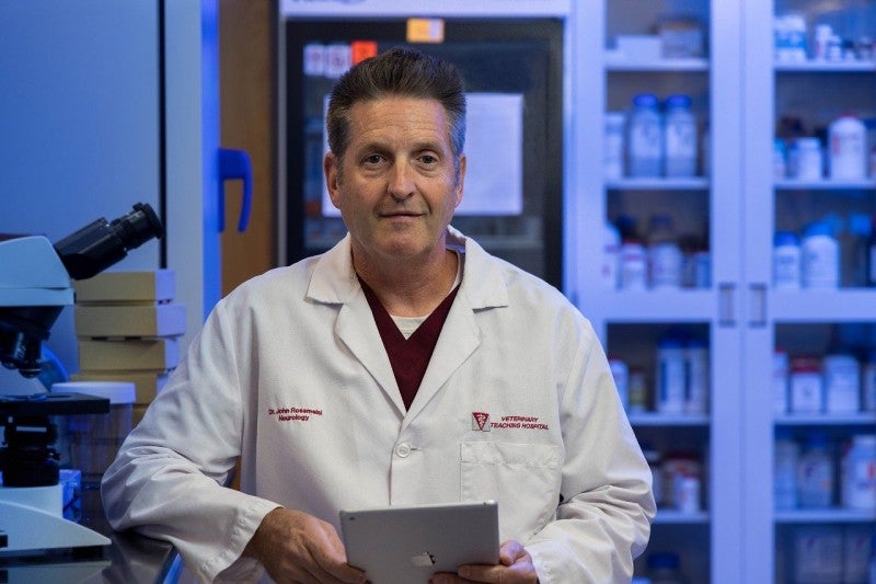 Researchers Explore New Technique to Treat Aggressive Brain Tumors