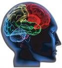 Researchers Gain Understanding of An Individual’s Predisposition to Alzheimer Disease