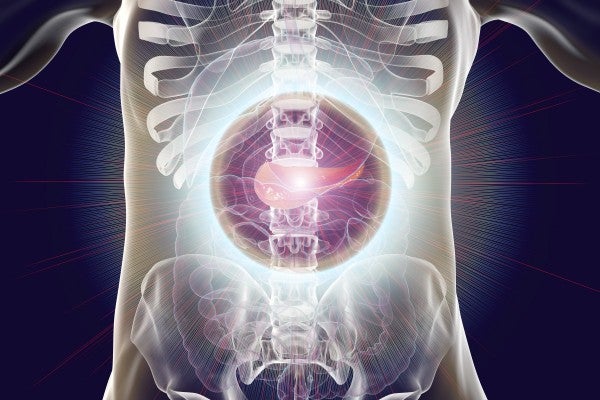 New Immunotherapy Targets for Pancreatic Cancer