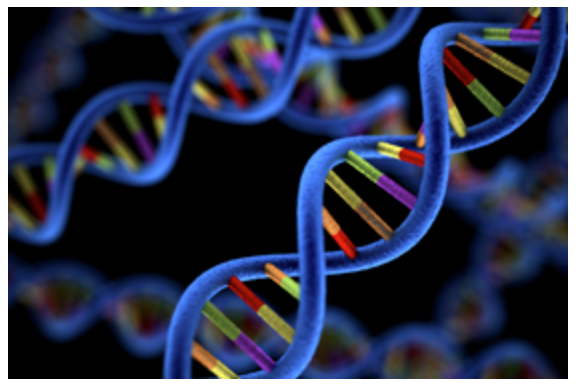 NorthStar, Curadh Partner to Produce Radiopharmaceuticals for Solid Tumor Treatment