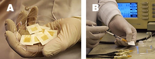 Disposable yeast badges: A replacement for radiation dosimeters?
